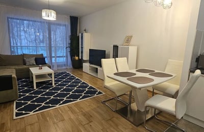 Cozy two-room apartment for rent, 60 m², Brașov, Romania