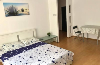 Location d’un bon appartement d’une pièce avec cuisine séparée, Sector 3, Bucarest, Roumanie