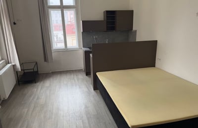 Аренда уютной однокомнатной квартиры, 25 м², Nové Město, Прага, Чехия