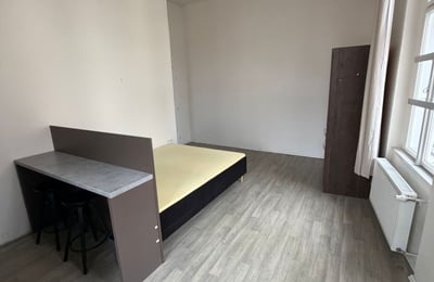Аренда уютной однокомнатной квартиры, 25 м², Nové Město, Прага, Чехия
