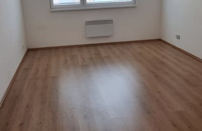 Location d’un appartement cosy et lumineux d’une pièce, 35 m², Bohnice, Prague, République Tchèque