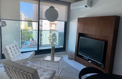 Modern bright apartment with balcony for rent, 45 m², Palermo Hollywood, Buenos Aires, Argentina