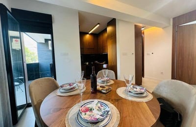 Stilvolle möblierte Wohnung 75 m² mit Terrasse zur Miete in Vračar, Belgrad, Serbien