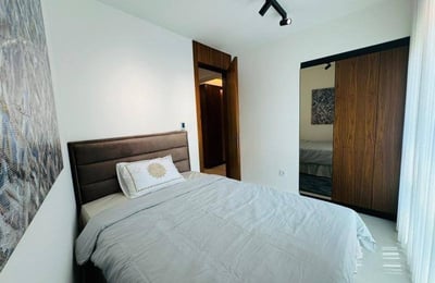 Stilvolle möblierte Wohnung 75 m² mit Terrasse zur Miete in Vračar, Belgrad, Serbien