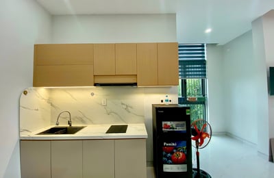 Cozy furnished apartment with balcony for rent in Cam Le, Da Nang, Vietnam