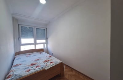 Комфортная квартира 49 м² с новым ремонтом в аренду, Новый Белград, Белград, Сербия