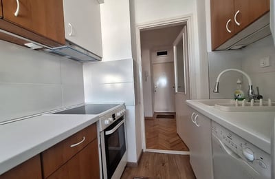 Комфортная квартира 49 м² с новым ремонтом в аренду, Новый Белград, Белград, Сербия