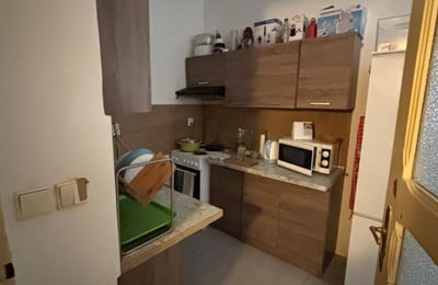 Alquiler de apartamento cómodo amueblado de 2 habitaciones, 50 m², Podolí, Praga, República Checa