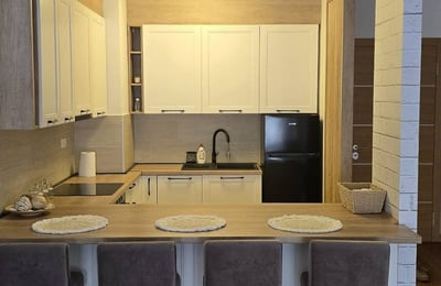 Modern furnished apartment for rent in Wellport residential complex, 54 m², New Belgrade, Belgrade, Serbia