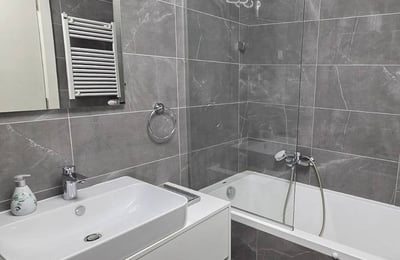 Modern furnished apartment for rent in Wellport residential complex, 54 m², New Belgrade, Belgrade, Serbia