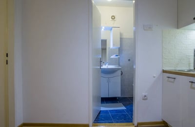 Аренда комфортной меблированной 2-комнатной квартиры, 43 м², Врачар, Белград, Сербия
