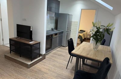 Location appartement confortable, meublé, sur deux étages, 55 m², Vračar, Belgrade, Serbie