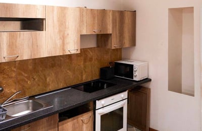 Аренда уютной, комфортной квартиры, 42 м², Жижков, Прага, Чехия