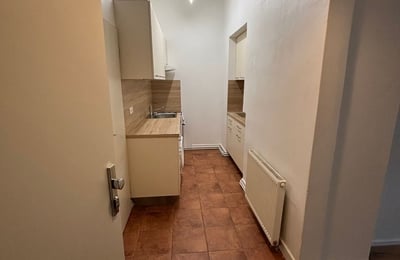 Cozy, comfortable apartment for rent, 50 m², Žižkov, Prague, Czech Republic