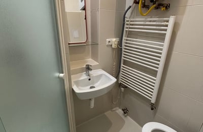 Cozy, comfortable apartment for rent, 50 m², Žižkov, Prague, Czech Republic