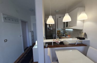 Alquiler de apartamento luminoso, cómodo, 40 m², Belgrado, Serbia