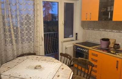 Аренда уютной, комфортной квартиры, 60 м², Новый Белград, Белград, Сербия