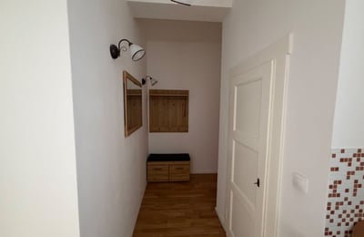 Cozy, furnished apartment for rent, 50 m², Žižkov, Prague, Czech Republic