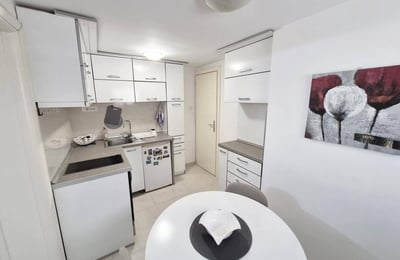 Аренда светлой квартиры, 50 м², Врачар, Белград, Сербия