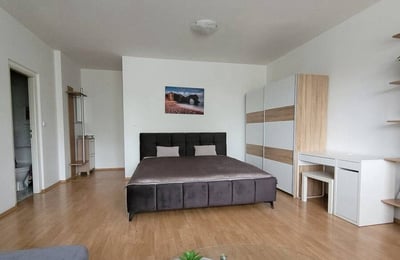 Аренда уютной, меблированной студии, Ружинов, Братислава, Словакия