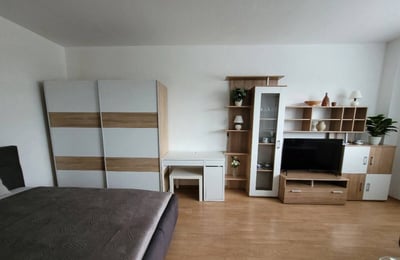 Аренда уютной, меблированной студии, Ружинов, Братислава, Словакия