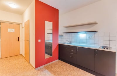Compact apartment for rent, 20 m², Smíchov, Prague, Czech Republic