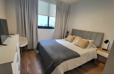 Bright, modern apartment for rent, Palermo Soho, Buenos Aires, Argentina