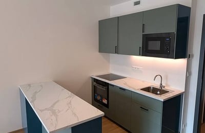 Аренда современной и просторной студии с лоджией, 47 м², Глоубетин, Прага 9, Чехия