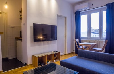 Cozy 1-bedroom apartment for rent, 35 m², city center, Belgrade, Serbia
