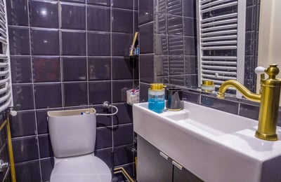 Cozy 1-bedroom apartment for rent, 35 m², city center, Belgrade, Serbia