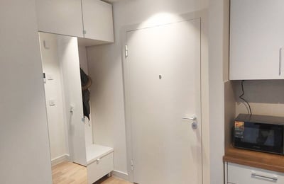 Аренда комфортной квартиры в ЖК BW Echo, 58 м², Белград, Сербия