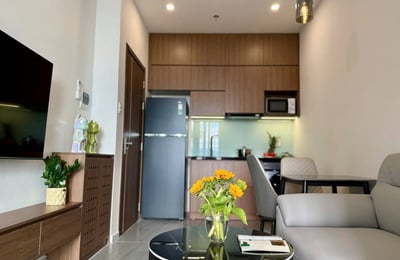 Modern, furnished apartment for rent, Da Nang, Vietnam