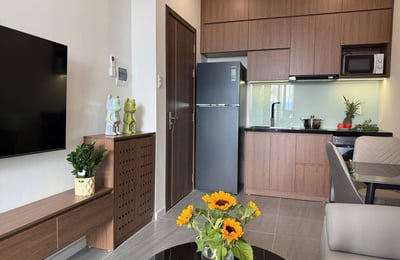 Modern, furnished apartment for rent, Da Nang, Vietnam