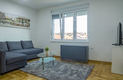 Komfortable Wohnung zur Miete, 76 m², Vračar, Belgrad, Serbien