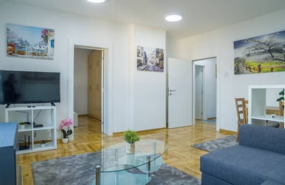 Komfortable Wohnung zur Miete, 76 m², Vračar, Belgrad, Serbien