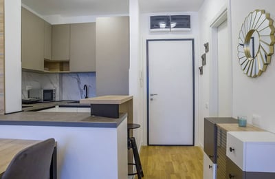 Gemütliche Wohnung zur Miete, 41 m², Zvezdara, Belgrad, Serbien