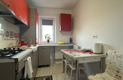 Comfortable, furnished apartment near the beach for rent, 55 m², Faleza Nord, Constanța, Romania