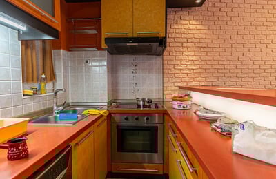 Comfortable, furnished apartment for rent, 51 m², Vracar, Belgrade, Serbia