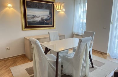Bright, spacious apartment for rent, 100 m², Vracar, Belgrade, Serbia