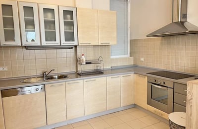 Bright, spacious apartment for rent, 100 m², Vracar, Belgrade, Serbia