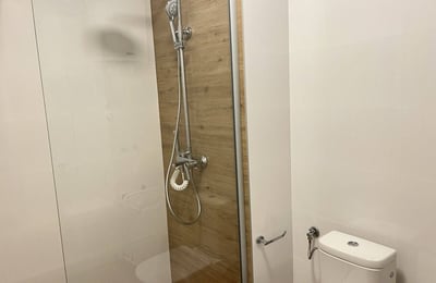 Bright, spacious apartment for rent, 100 m², Vracar, Belgrade, Serbia