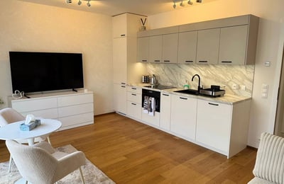 Stylish and comfortable 33 m² apartment for rent, Prague, Czech Republic