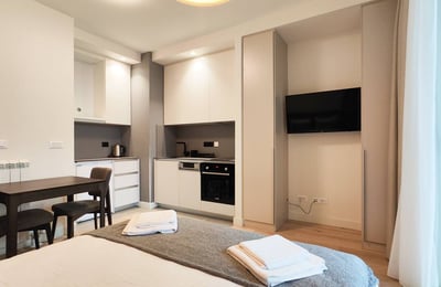 Cozy and modern 28 m² studio for rent, BW Metropolitan complex, Belgrade, Serbia