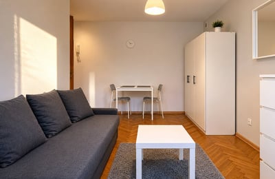 Cozy and spacious studio apartment for rent, Śródmieście, Warsaw
