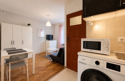 Cozy and spacious studio apartment for rent, Śródmieście, Warsaw