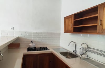 New villa with pool for rent Ubud (Sayan area), Bali