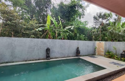 New villa with pool for rent Ubud (Sayan area), Bali