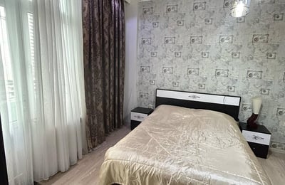 1+1 Apartment for Rent in Batumi, 65 m², $550, Pet-Friendly