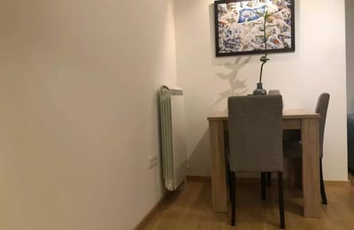 Long-term rental of a newly renovated 2-bedroom apartment in Vračar, Belgrade