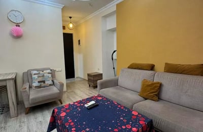 Long-Term Rental: 1+1 Apartment, Batumi